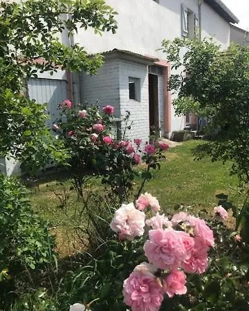 Domaine La Bonne Dame - Merle, Au Coeur Des Vosges *