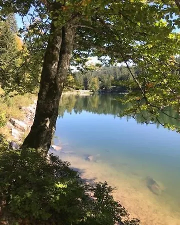 Lejlighed Domaine La Bonne Dame - Merle, Au Coeur Des Vosges Plainfaing