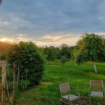 Lejlighed Domaine La Bonne Dame - Merle, Au Coeur Des Vosges Plainfaing