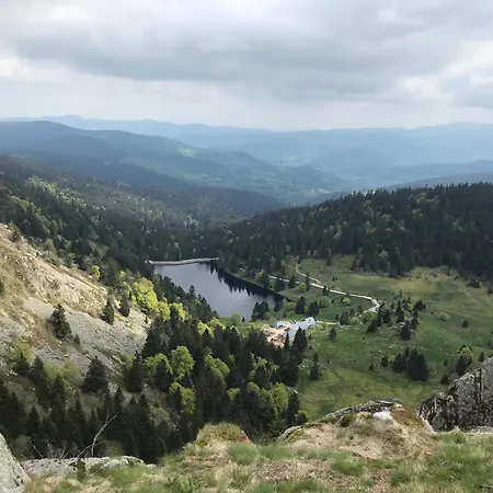 Domaine La Bonne Dame - Merle, Au Coeur Des Vosges * Plainfaing