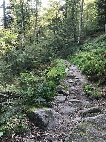 Domaine La Bonne Dame - Merle, Au Coeur Des Vosges